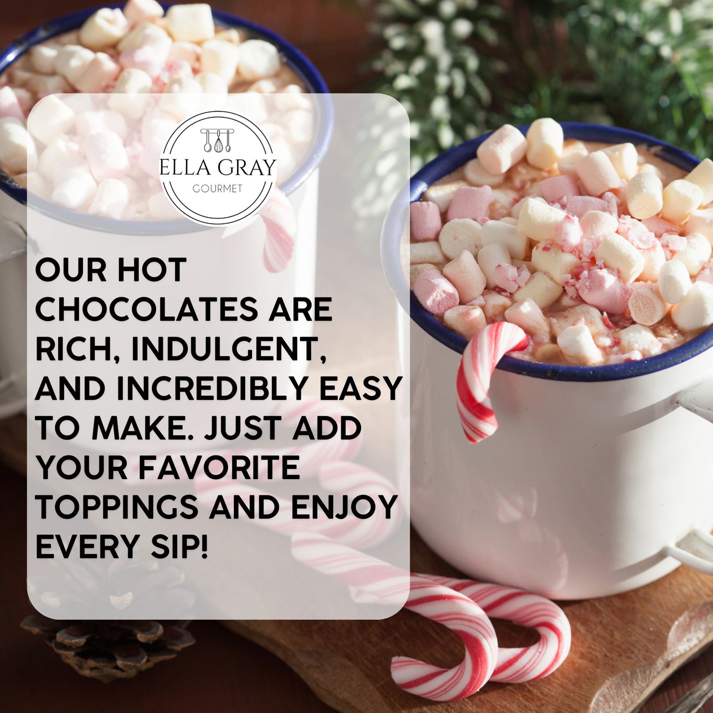Hot Cocoa - Candy Cane