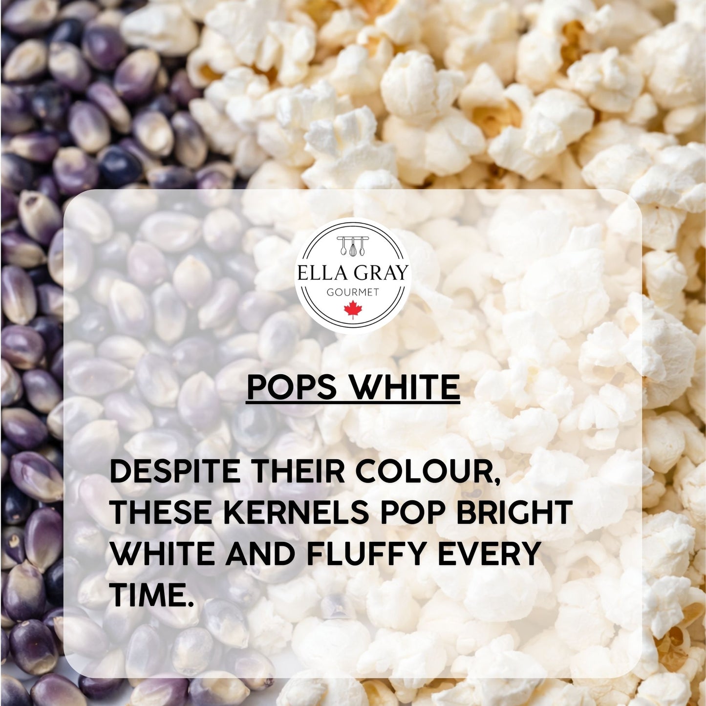 Movie Time Popcorn Kernels - Purple GMO FREE