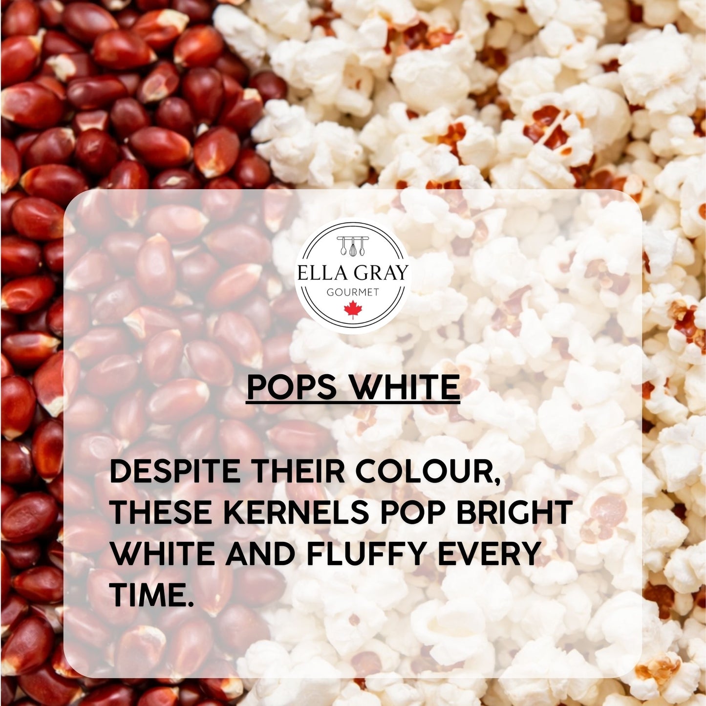 Movie Time Popcorn Kernels - Red